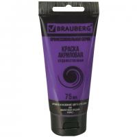 ������ ��������� �������������� BRAUBERG ART 