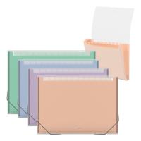 �����-��������� ����������� ErichKrause Matt Pastel Bloom, � 13 �������� �����������, A4, ����������