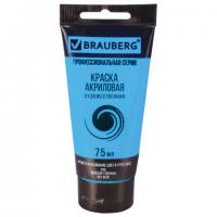 ������ ��������� �������������� BRAUBERG ART 