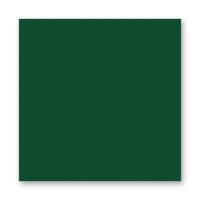 FOLIA  ���� 150 �/�2, 20�30 ��, 10 �/����, �����-�������
