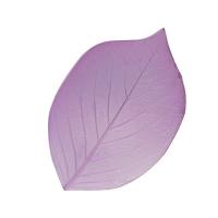 ���� �����������   FIO-M/02  01 