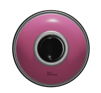 A313 Princess - �������� 