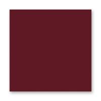 FOLIA  ���� 150 �/�2, 20�30 ��, 10 �/����, �����-������� 520422