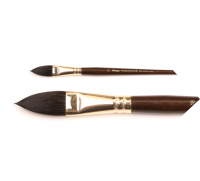 ����� Pinax POSEIDON ����� ���� �������������� ���� N 12