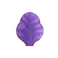 ���� �����������   FIO-M/02  03 