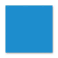 FOLIA  ���� 150 �/�2, 20�30 ��, 10 �/����, �����-�������