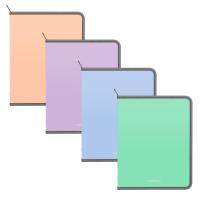 ����� ��� �������� �� ������ ����������� ErichKrause Matt Pastel Bloom, A5+, ������� (� ������ �� 4