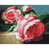 ������� ���� (������� �������� ������: 40x50,)