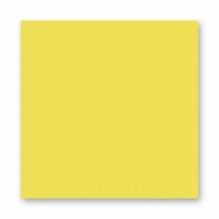 FOLIA  ���� 150 �/�2, 20�30 ��, 10 �/����,��������-������