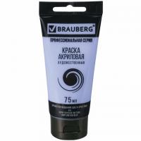 ������ ��������� �������������� BRAUBERG ART 
