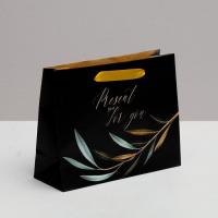 ����� �������������� �������������� Present just for you, 22 ? 17.5 ? 8 ��   4766885