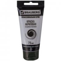 ������ ��������� �������������� BRAUBERG ART 