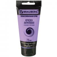 ������ ��������� �������������� BRAUBERG ART 