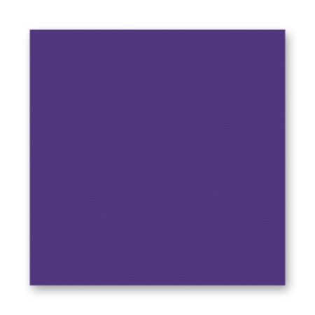 FOLIA  ���� 150 �/�2, 20�30 ��, 10 �/����, �������