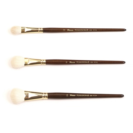 ����� Pinax POSEIDON ���� ����� �������� N 12