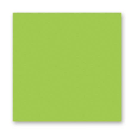 FOLIA  ���� 150 �/�2, 20�30 ��, 10 �/����, ������-�������