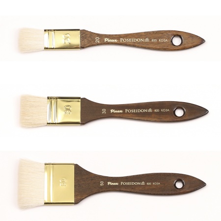 ����� Pinax POSEIDON ���� ����� N 30