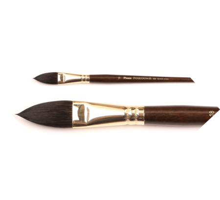 ����� Pinax POSEIDON ����� ���� �������������� ���� N 24