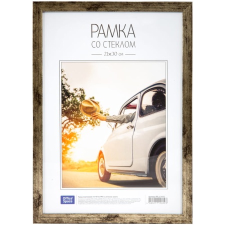 ����� ����������� 21*30��, OfficeSpace, �6/1, �������� ������