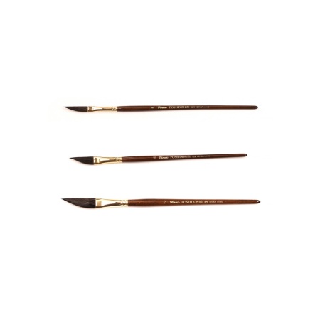 ����� Pinax POSEIDON ����� ���� ������ ������ N 12